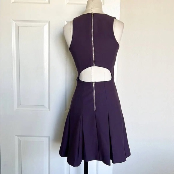 Elizabeth and James purple dress - Picture 2 of 4